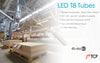 LED T8 Tube Light Bulbs | LEDFixturesandLamps.com